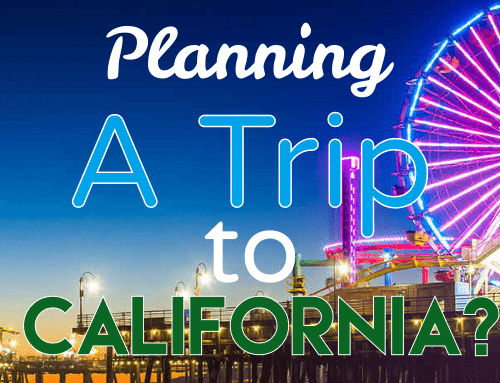 Planning a trip in California? This guide can help